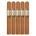 Foundation Highclere Castle Petite Corona 5 Pack