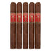 Foundation Highclere Castle Victorian Petite Corona 5Pack