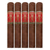 Foundation Highclere Castle Victorian Robusto 5Pack