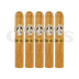 Gurkha Real Robusto 5 Pack