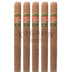 Gurkha Regent Class Churchill 5 Pack