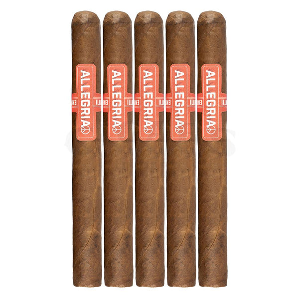 Illusione Oneoff Allegria Churchill 5 Pack