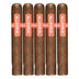 Illusione Oneoff Allegria Gordo 5 Pack