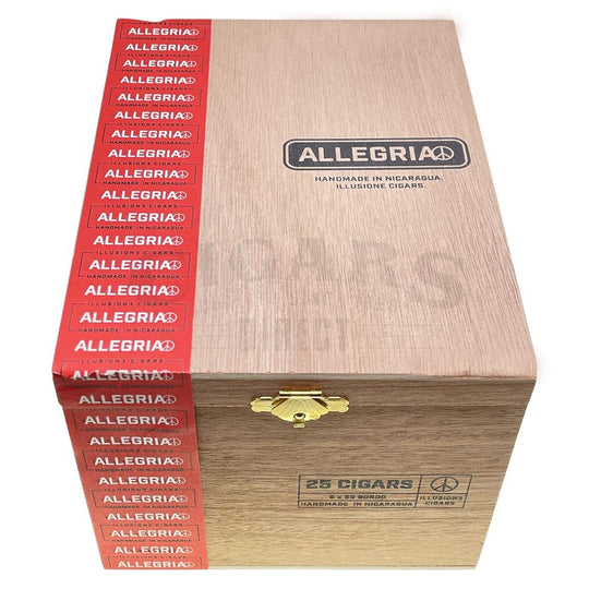 Illusione Oneoff Allegria Gordo