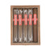 Illusione Oneoff Allegria Gordo Open Box