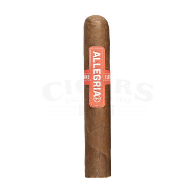 Illusione Oneoff Allegria Robusto Single