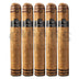 Jake Wyatt Appendix Ii Gordo 5 Pack