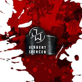 Jake Wyatt Herbert Spencer Robusto Band