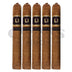 Jake Wyatt Lithium Toro 5 Pack