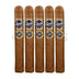 JFR Lunatic Torch Dreamlands Gordo 5 Pack