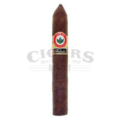 Joya de Nicaragua Antano 1970 Belicoso Single