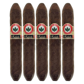 Joya de Nicaragua Antano 1970 Gran Perfecto 5 Pack