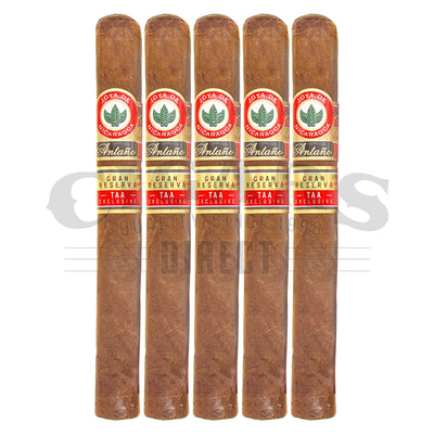 Joya de Nicaragua Gran Reserva TAA Presidente 5 Pack