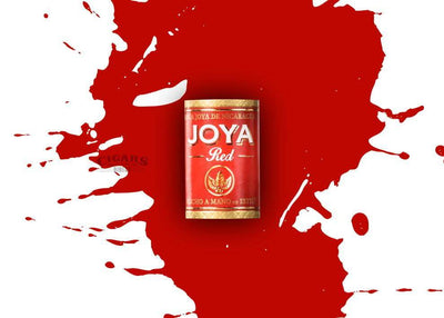 Joya De Nicaragua Red Short Churchill Band
