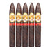 La Aurora 107 Maduro Belicoso 5 Pack