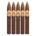 La Aurora 107 Belicoso 5 Pack