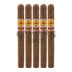 La Aurora 1903 Cameroon Churchill 5 Pack