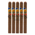 La Aurora DNA Churchill 5 Pack