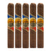 La Aurora DNA Robusto 5 Pack