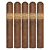Leaf By Oscar Corojo Gordo 5 Pack