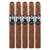 M by Macanudo Toro 5 Pack