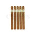 Macanudo Cafe Petit Corona 5 Pack