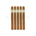 Macanudo Cafe Petit Corona 5 Pack