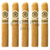 Macanudo Gold Label Duke Of York 5 Pack