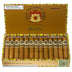 Macanudo Gold Label Duke Of York Box Open