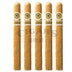 Macanudo Gold Label Lord Nelson 5 Pack
