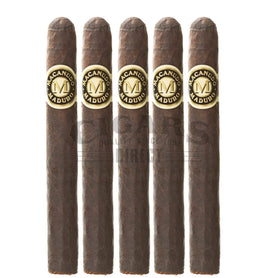 Macanudo Maduro Hampton Court 5 Pack