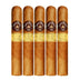 Montecristo Classic Robusto 5 Pack