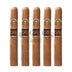 Montecristo Monte Conde 5 Pack