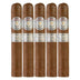 Montecristo Platinum Robusto 5 Pack