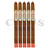 My Father La Promesa Lancero 5 Pack