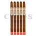 My Father La Promesa Lancero 5 Pack