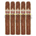 Nat Cicco Casino Real Double Toro 5 Pack