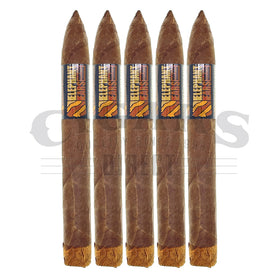 Nat Cicco Elephant Ears Baby E 5 Pack