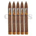 Nat Cicco Elephant Ears Baby E 5 Pack