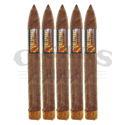 Nat Cicco Elephant Ears Baby E 5 Pack