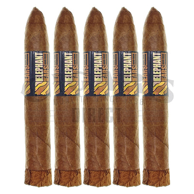 Nat Cicco Elephant Ears Juniors 5 Pack