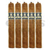 Nat Cicco HHB Classic Corona 5 Pack