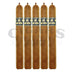 Nat Cicco HHB Classic Corona Extra 5 Pack