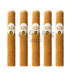 Oliva Connecticut Reserve Robusto 5 Pack