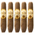 Oliva Serie G Cameroon Special G 5 Pack