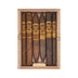 Oliva Serie V Melanio Variety Sampler of 6 Open Box