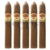 Padron 1926 Anniversary No 2 Maduro 5 Pack