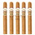 Padron Damaso No.8 Corona 5 Pack