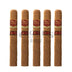 Padron Family Reserve No.45 Natural 5 Pack
