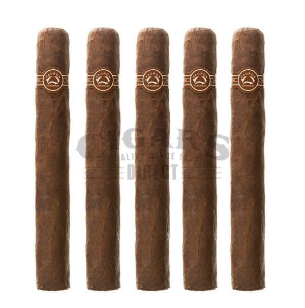 Padron Thousand Series 4000 Maduro 5 Pack